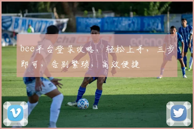bee平台登录攻略，轻松上手，三步即可，告别繁琐，高效便捷