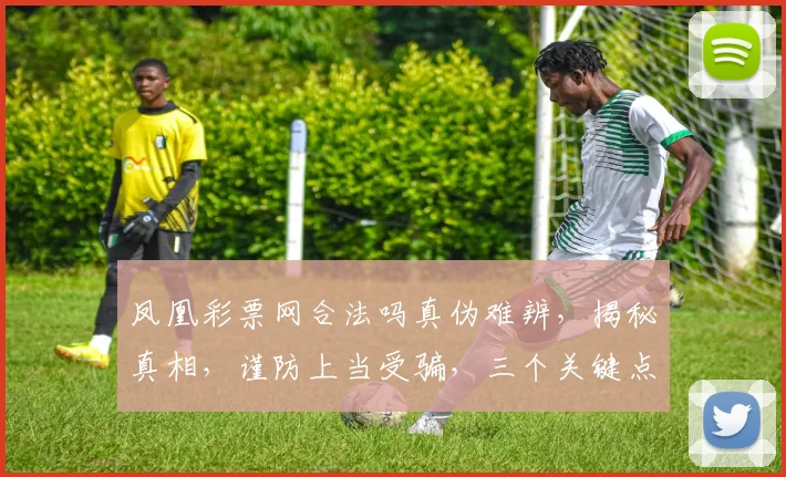 凤凰彩票网合法吗真伪难辨，揭秘真相，谨防上当受骗，三个关键点，助你识别