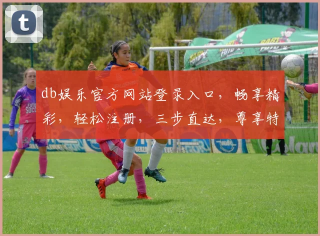 db娱乐官方网站登录入口，畅享精彩，轻松注册，三步直达，尊享特权