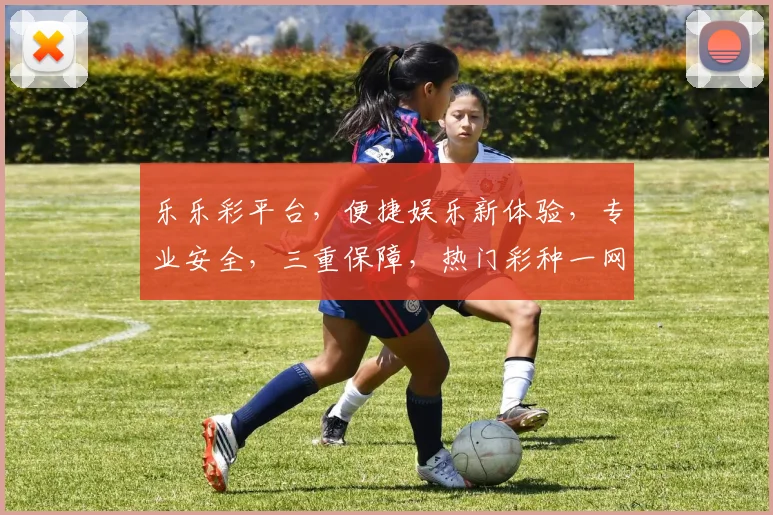 乐乐彩平台，便捷娱乐新体验，专业安全，三重保障，热门彩种一网打尽